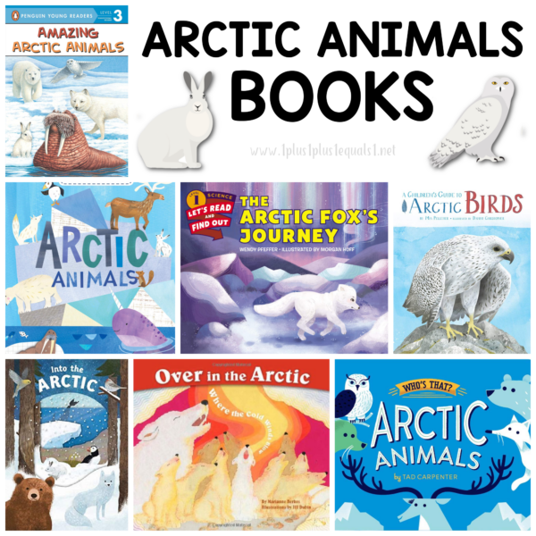 Montessori Nomenclature ~ Arctic Animals 3 Part Cards - 1+1+1=1