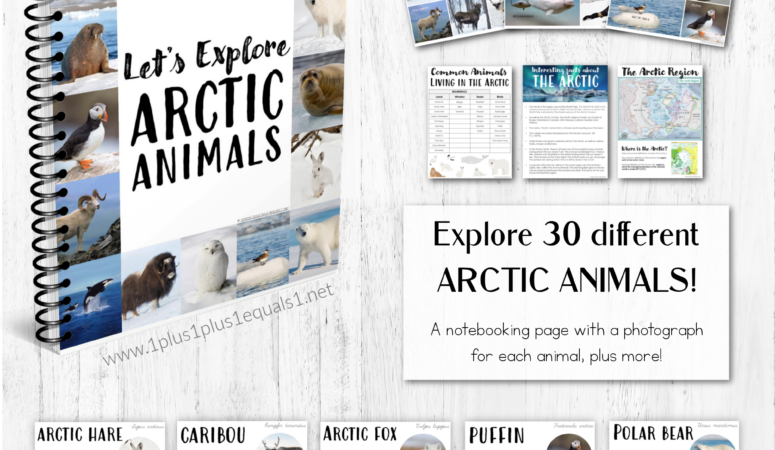 Let’s Explore Arctic Animals – An Arctic Unit Study for Kids