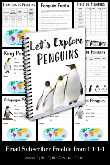 Let's Explore Penguins ~ A Penguin Unit Study for Kids - 1+1+1=1