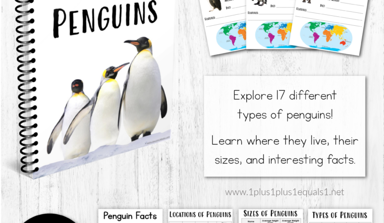 Let’s Explore Penguins ~ A Penguin Unit Study for Kids