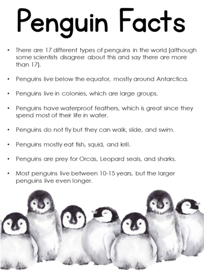 Let's Explore Penguins ~ A Penguin Unit Study for Kids - 1+1+1=1