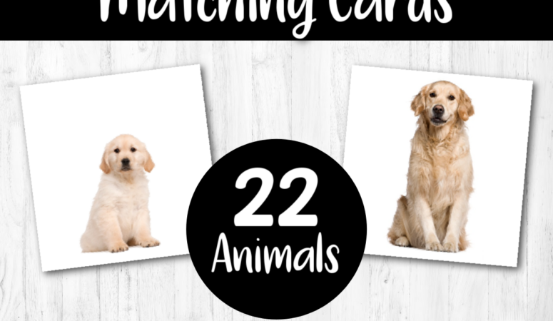 Mommy and Baby Animals ~ Matching Printables {free}