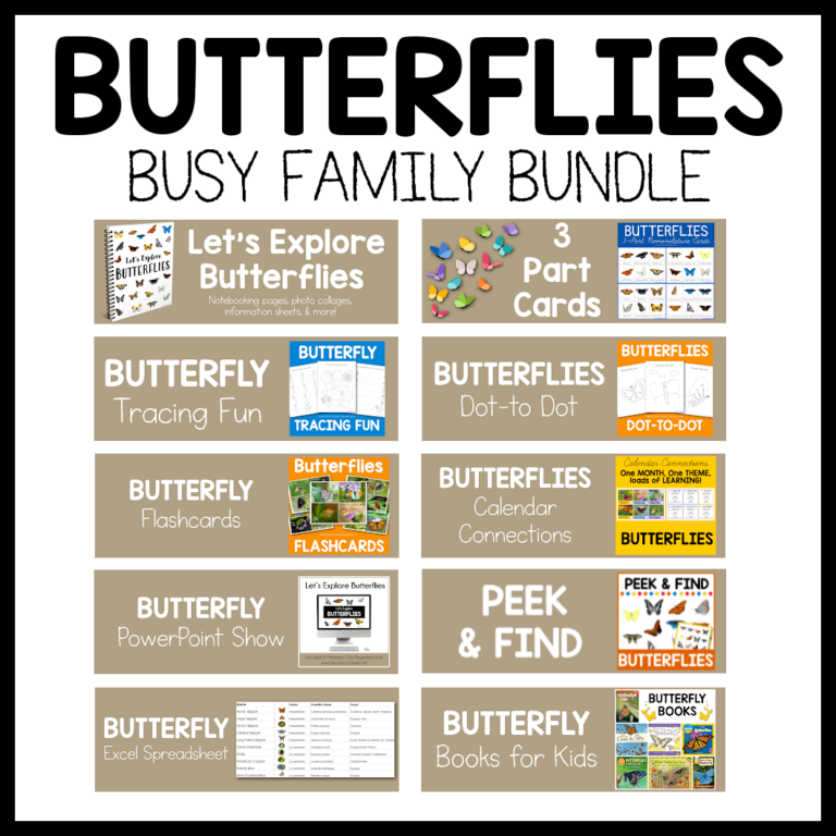 Let's Explore Butterflies ~ An Interactive PowerPoint Show for Kids - 1 ...
