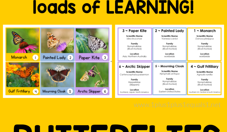 Butterfly Calendar Connections