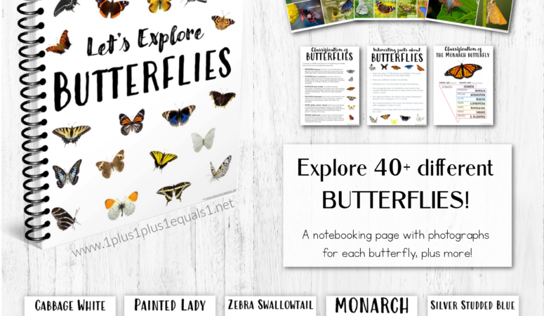 Let’s Explore Butterflies ~ A Butterfly Unit Study for Kids