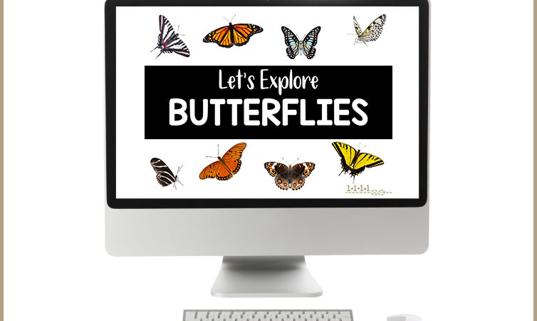 Let’s Explore Butterflies ~ An Interactive PowerPoint Show for Kids