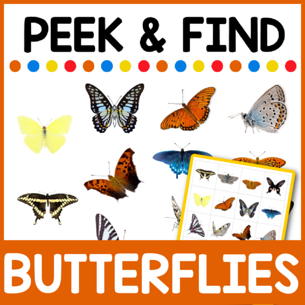 Let's Explore Butterflies ~ An Interactive PowerPoint Show for Kids - 1 ...