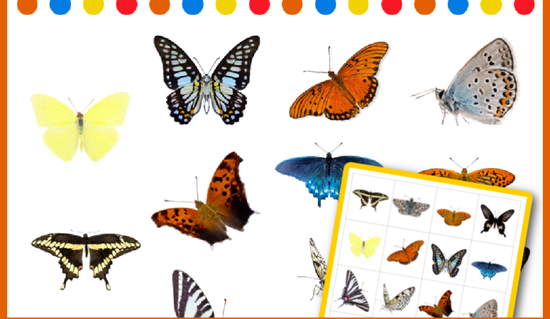 Peek and Find Butterfly Printables for Kids