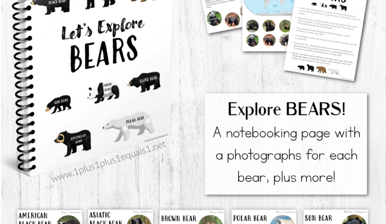 Let’s Explore Bears – A Unit Study for Kids