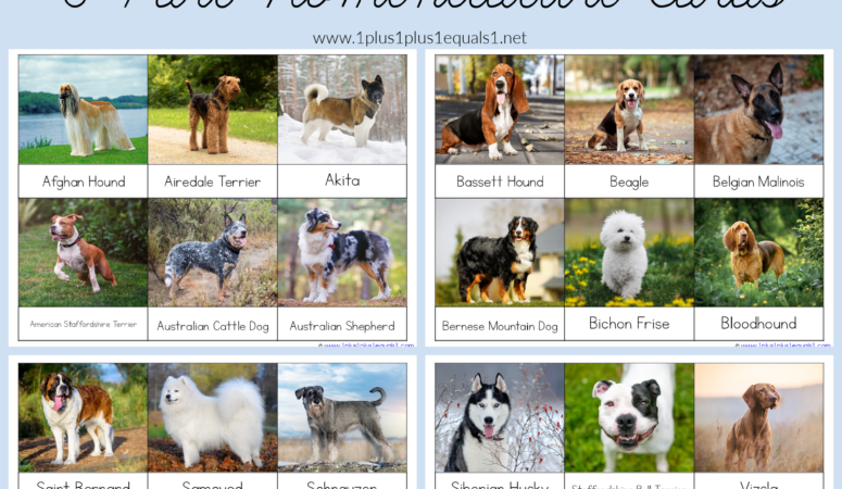 Dog Breed 3 Part Cards