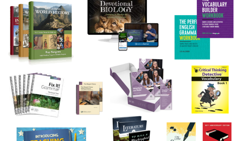 10th Grade Mid-Year Homeschool Curriculum Changes