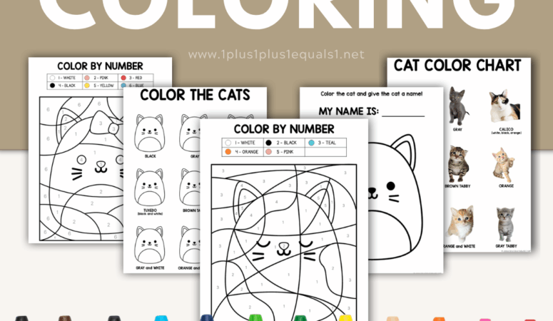 Squishmallow Cat Coloring Activities
